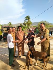 KUBE SENTOSA TERIMA 24 KAMBING